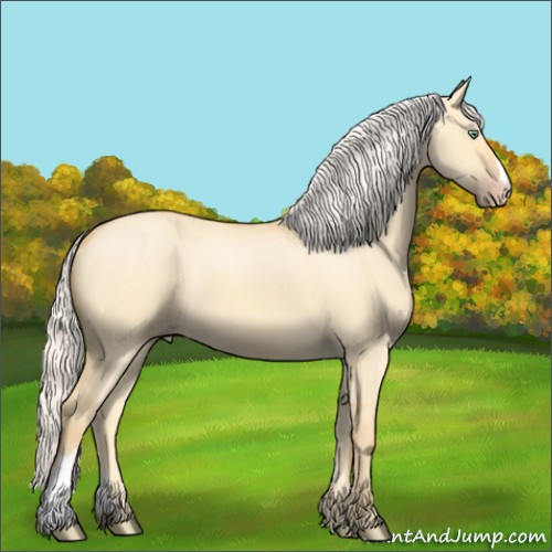 Horse Color:Silver Amber Cream Champagne Dun 