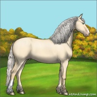 Horse Color:Silver Amber Cream Champagne Dun 
