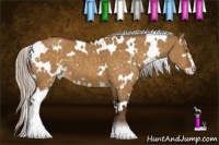 Horse Color:White Spotted Silver Buckskin Dun Sabino 