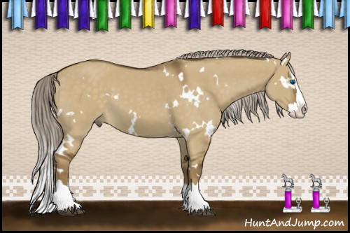 Horse Color:White Spotted Chocolate Palomino Dun Splash 
