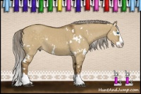 Horse Color:White Spotted Chocolate Palomino Dun Splash 