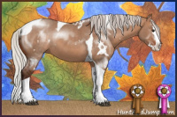 Horse Color:White Spotted Silver Bay Dun Splash Tobiano 
