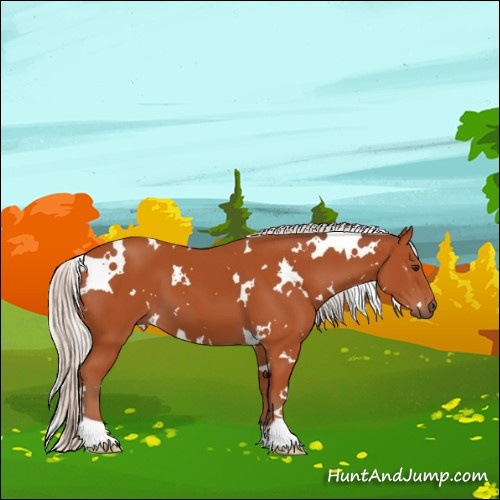 Horse Color:White Spotted Silver Brown 