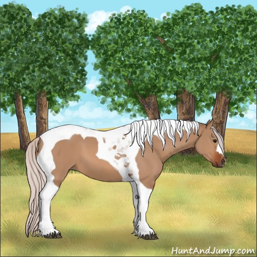 Horse Color:Silver Bay Dun Tobiano 