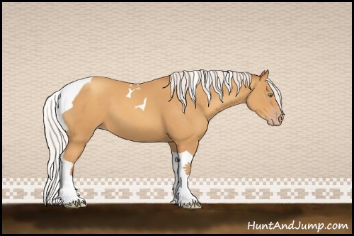 Horse Color:Silver Sable Cream Champagne Tobiano
