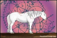 Horse Color:Watercolor Silver Amber Champagne Dun Sabino Splash 