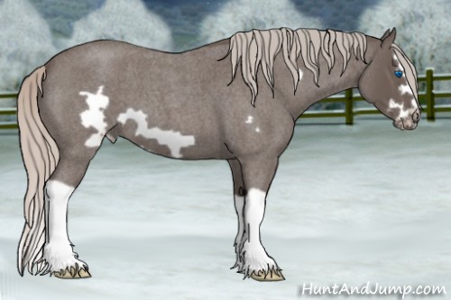 Horse Color:Silver Blue Roan Splash Frame 
