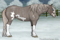 Horse Color:Silver Blue Roan Splash Frame