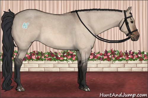 Horse Color:Bay Roan Dun 