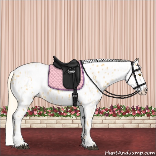 Horse Color:Palomino Near Leopard and Palomino Dun Near Leopard