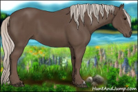Horse Color:Silver Black 
