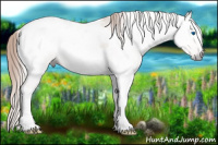 Horse Color:Gray Gold Champagne Roan Dun Splash Tobiano Frame Rabicano