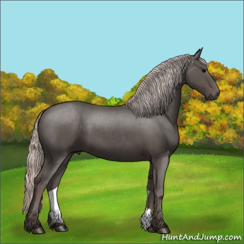 Horse Color:Silver Black 
