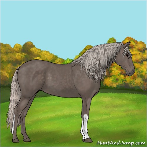 Horse Color:Silver Black 