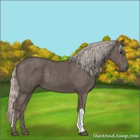 Horse Color:Silver Black 