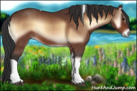 Horse Color:Bay Onyx Tobiano 