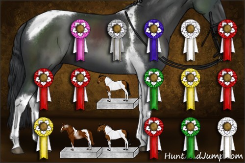 Horse Color:Black Tobiano 