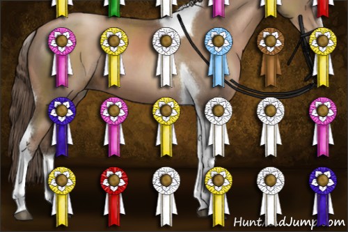 Horse Color:Black Pearl Sabino Tobiano 