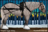 Horse Color:Silver Blue Roan 