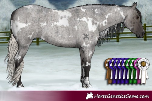 Horse Color:White Spotted Smoky Grullo Roan Brindle 