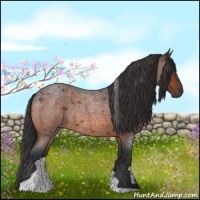 Horse Color:Bay Roan Tobiano Rabicano 