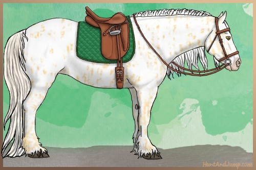 Horse Color:Palomino Near Leopard  and Palomino Splash Near Leopard 