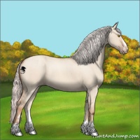 Horse Color:Silver Classic Champagne Dun Sabino 