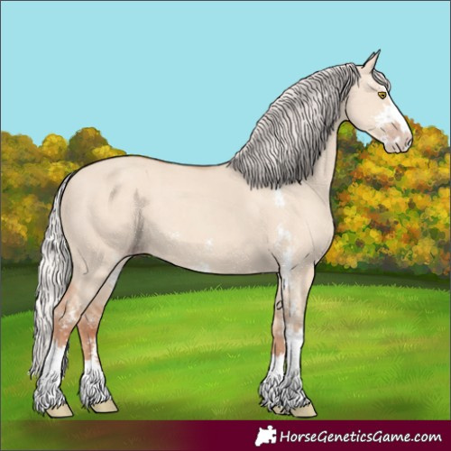Horse Color:Silver Classic Champagne Dun Sabino 
