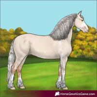 Horse Color:Silver Classic Champagne Dun Sabino 