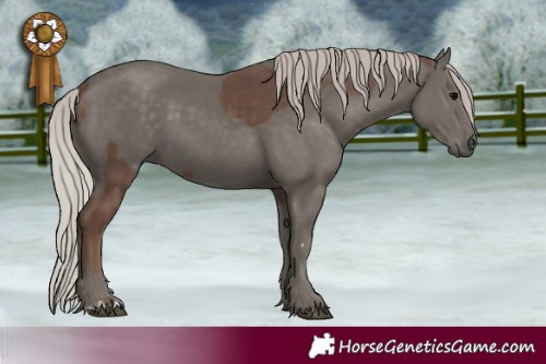 Horse Color:Silver Black and Silver Black