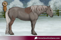 Horse Color:Silver Black and Silver Black