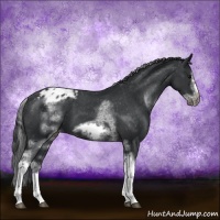 Horse Color:White Spotted Black Splash Tobiano Frame Blanket