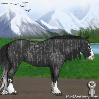 Horse Color:Blue Roan Sabino Splash and Gray Blue Roan Sabino Splash