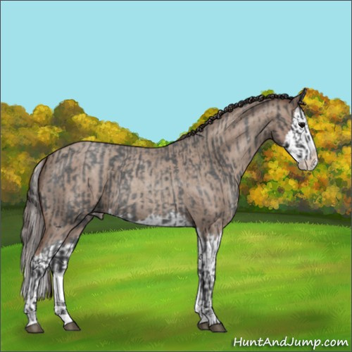 Horse Color:Blue Roan Sabino Splash  and Classic Champagne Roan Sabino Splash 