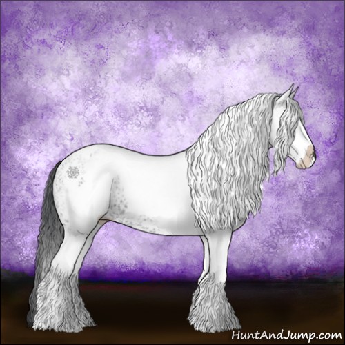 Horse Color:White Spotted Black