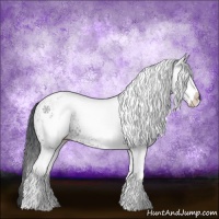 Horse Color:White Spotted Black 