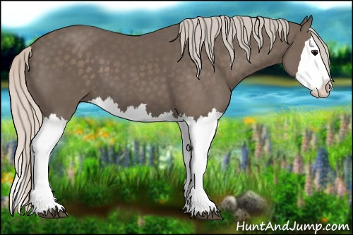 Horse Color:Silver Black Splash 