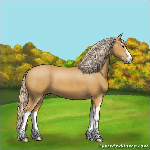 Horse Color:Palomino Splash