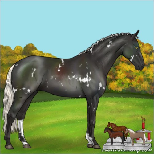 Horse Color:White Spotted Liver Chestnut Mushroom 