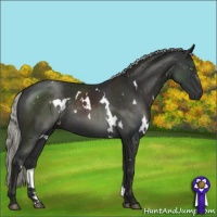 Horse Color:White Spotted Liver Chestnut Mushroom 