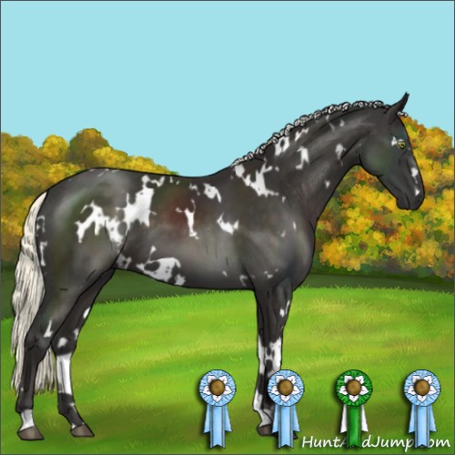 Horse Color:White Spotted Liver Chestnut Mushroom