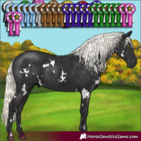 Horse Color:White Spotted Liver Chestnut Mushroom
