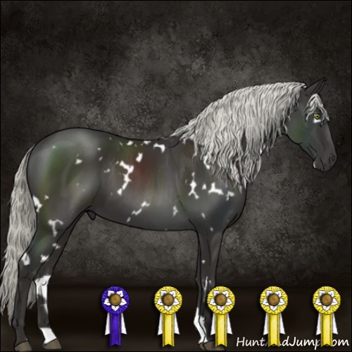 Horse Color:White Spotted Liver Chestnut Mushroom 