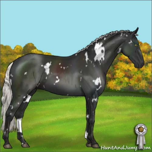 Horse Color:White Spotted Liver Chestnut Mushroom