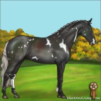 Horse Color:White Spotted Liver Chestnut Mushroom 