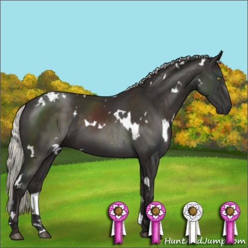 Horse Color:White Spotted Liver Chestnut Mushroom