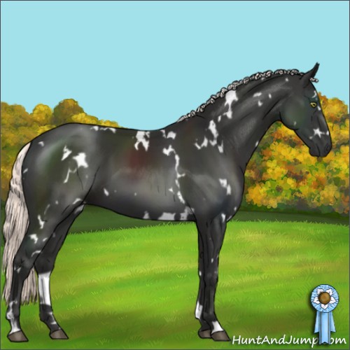 Horse Color:White Spotted Liver Chestnut Mushroom