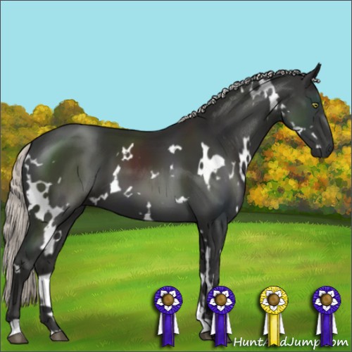 Horse Color:White Spotted Liver Chestnut Mushroom 