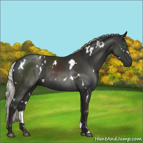 Horse Color:White Spotted Liver Chestnut Mushroom 