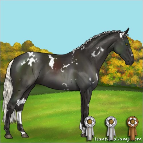 Horse Color:White Spotted Liver Chestnut Mushroom